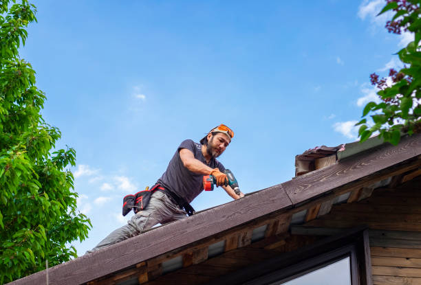 Best Roof Moss and Algae Removal  in Muscle Shos, AL